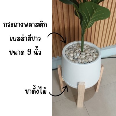 ต้นไทรใบสักปลอมในกระถางเบลล่าพร้อมขาตั้งไม้ Artificial Fiddle Leaf Fig tree