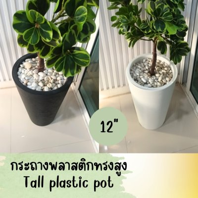 ต้นหัวใจเศรษฐี (สาริกาด่าง) ต้นไม้ปลอมประดิษฐ์ Artificial Mistletoe Fig