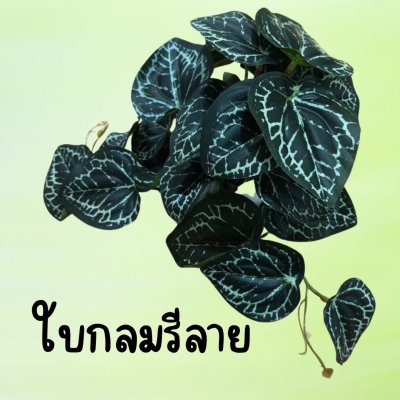 ต้นไม้เลื้อยปลอมในกระถางดินเผาทรงนมวัว Artificial vine plant in cow-shaped ceramic pot.