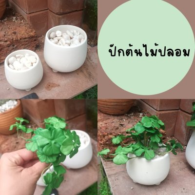 กระถางดินเผาสีขาวนวลทรงนมวัว White ceramic pot cow milk shape
