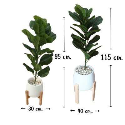 ต้นไทรใบสักปลอมขนาดใหญ่เหมือนจริง Artificial / Fake Fiddle Leaf Fig plant