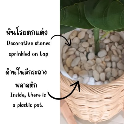 ต้นไทรใบสักปลอมขนาดใหญ่เหมือนจริง Artificial / Fake Fiddle Leaf Fig plant