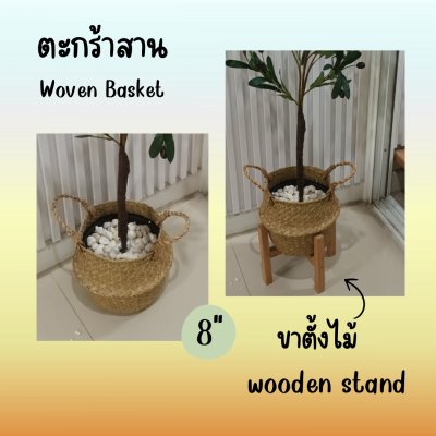 ต้นมะกอกโอลีฟปลอมประดิษฐ์ Artificial / Fake Olive Tree