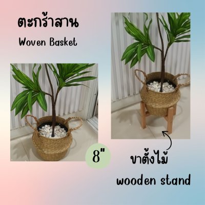 ต้นดราซีน่่าปลอมต้นไม้ประดิษฐ์ขนาดใหญ่ Artificial / Fake Dracaena plant ต้นดราซีน่่าปลอมต้นไม้ประดิษฐ์ขนาดใหญ่ Artificial / Fake Dracaena plant