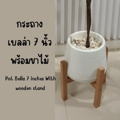 กระถางเบลล่า7-9นิ้วพร้อมขาตั้งไม้ Bella 7-9-inch pot with wooden stand กระถางเบลล่า7-9นิ้วพร้อมขาตั้งไม้ Bella 7-9-inch pot with wooden stand