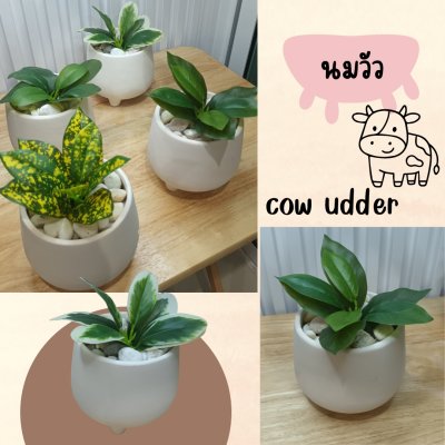 ต้นไม้ปลอมขนาดเล็กกระถาง 5" Small artificial plant with a 5-inch clay pot.