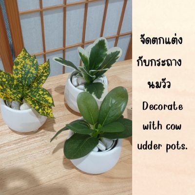 ต้นไม้ปลอมขนาดเล็กกับกระถางดินเผาทางนมวัว 4 นิ้ว Small artificial plant