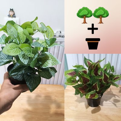 ต้นไม้ปลอมประดิษฐ์ใบสวยตะกร้าหวาย 5-6 นิ้ว ขาตั้งไม้ Artificial plant a wicker basket