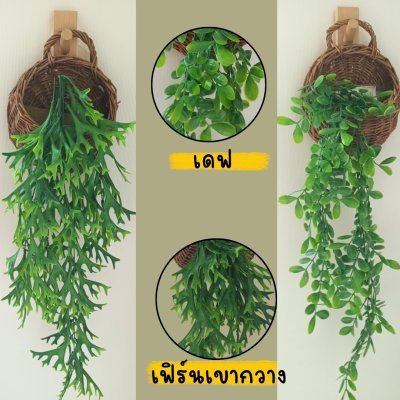 ต้นไม้เลื้อยปลอมประดิษฐ์ในตะกร้าหวายแขวนผนัง Artificial climbing plant in a wicker basket.