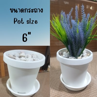 6 นิ้ว กระถางพลาสติกสีขาวทรงสูงขอบหนาพร้อมจานรอง White tall plastic pot