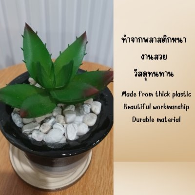 แคคตัสปลอมต้นไม้ประดิษฐ์ในกระถางเซรามิก Artificial cactus in a ceramic pot.