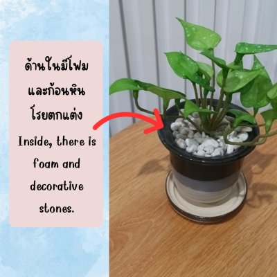 ต้นไม้ปลอมประดิษฐ์ขนาดเล็กในกระถางเซรามิก Small artificial plant in a ceramic pot.