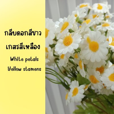 ดอกคาโมมายล์ปลอม Artificial white chamomile flower.