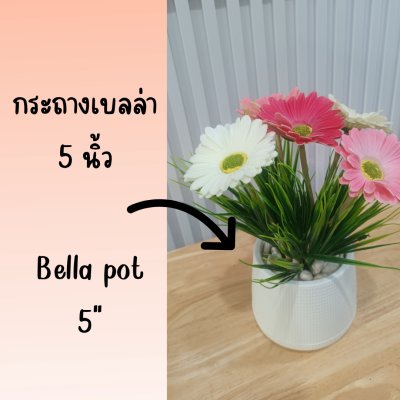ช่อดอกเยอบีร่าในกระถางเบลล่า 5 นิ้ว ขาตั้งไม้ Gerbera flower bouquet in a 5-inch Bella pot.