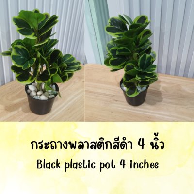 ต้นหัวใจเศรษฐี (สาริกาด่าง) ปลอมประดิษฐ์ตะกร้าสานพลาสติก Artificial Mistletoe Fig