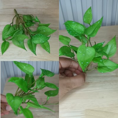 ต้นไม้ปลอมประดิษฐ์ขนาดเล็กSmall artificial plant