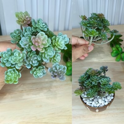 แคคตัสปลอมประดิษฐ์เฉพาะต้นไม้ Artificial cactus specifically for plants.