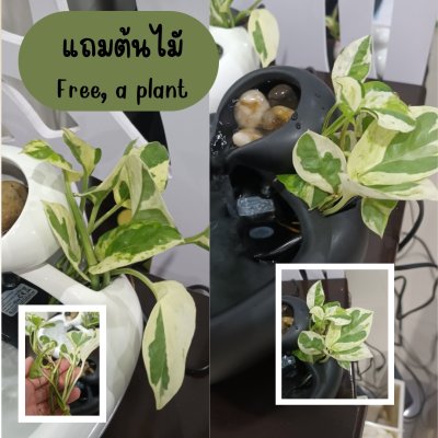 อ่างเซรามิกน้ำพุน้ำตกเสริมฮวงจุ้ยน้ำไหลCeramic basin for waterfall.