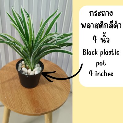 ต้นเศรษฐีเรือนนอกปลอมต้นไม้ประดิษฐ์กระถาง 4 นิ้ว 4-inch potted artificial plant.
