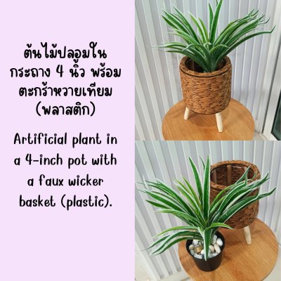 ต้นเศรษฐีเรือนนอกปลอมประดิษฐ์ตะกร้าสาน(หวายเทียม) Artificial plant