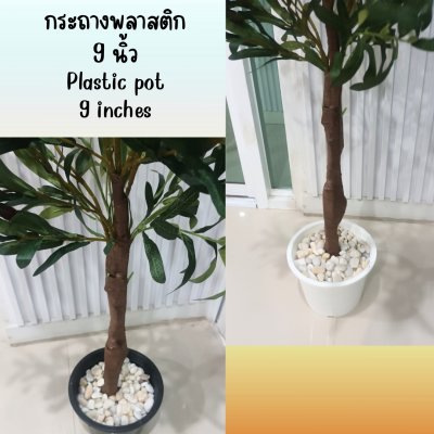 ต้นมะกอกโอลีฟปลอมประดิษฐ์ Artificial / Fake Olive Tree