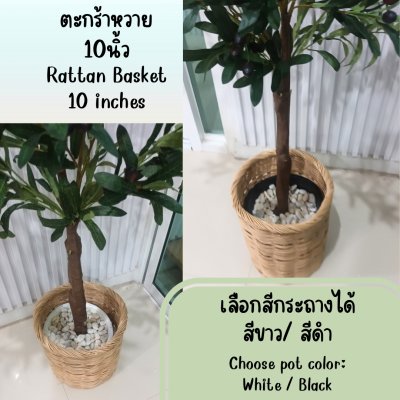 ต้นมะกอกโอลีฟปลอมประดิษฐ์ Artificial / Fake Olive Tree