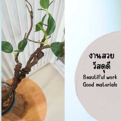 กิ่งไม้ใบไม้ปลอมประดิษฐ์แจกันแก้ว Artificial branches and leaves in a glass vase.