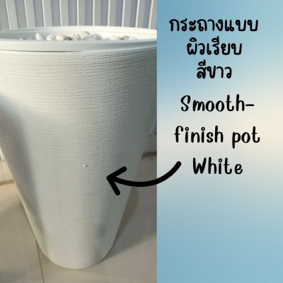 12 นิ้ว กระถางพลาสติกสีขาวทรงสูง มีหินและโฟม White tall plastic pot