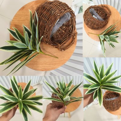 ต้นไม้ปลอมประดิษฐ์ใบสวยตะกร้าสาน Artificial plant in woven basket