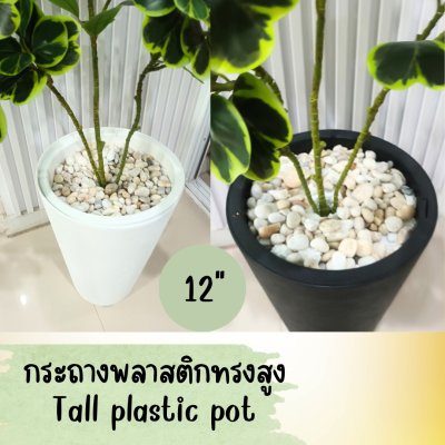 ต้นหัวใจเศรษฐี (สาริกาด่าง) ต้นไม้ปลอมประดิษฐ์ Artificial Mistletoe Fig