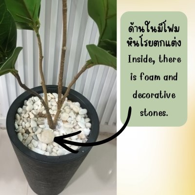 ต้นยางอินเดียปลอมในกระถางทรงสูง 12 นิ้ว Artificial Rubber Plant Home Decor