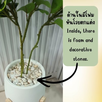 ต้นหัวใจเศรษฐี (สาริกาด่าง) ต้นไม้ปลอมประดิษฐ์กระถางเบลล่า 9 นิ้ว Artificial Mistletoe Fig