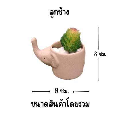 แคคตัสปลอมในกระถางคู่ช้างพ่อลูก