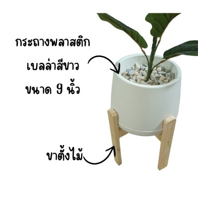 ต้นไทรใบสักปลอมในกระถางเบลล่าพร้อมขาตั้งไม้