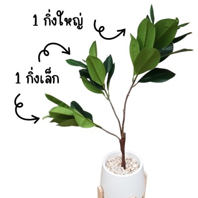 ต้นยางอินเดียปลอมในกระถางเบลล่า 9 นิ้ว :: Artificial Rubber Plant ต้นยางอินเดียปลอมในกระถางเบลล่า 9 นิ้ว :: Artificial Rubber Plant