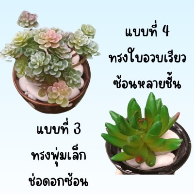 แคคตัสปลอมในกระถางเซรามิก