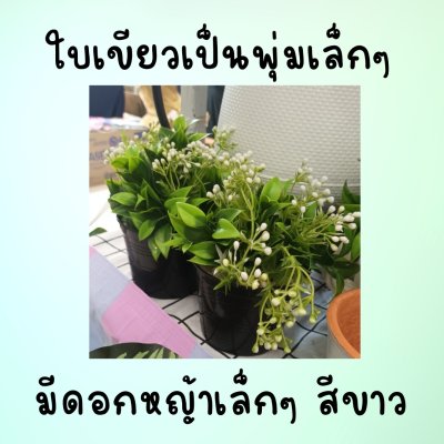 ดอกหญ้าขาวดอกไม้ปลอมประดิษฐ์