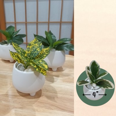 ต้นไม้ปลอมขนาดเล็กกับกระถางดินเผาทางนมวัว 4 นิ้ว Small artificial plant