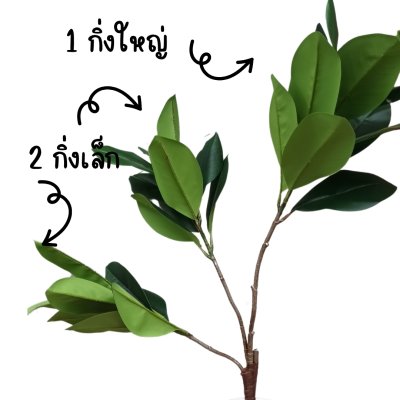 ต้นยางอินเดียปลอมในตะกร้าหวาย พร้อมขาตั้งไม้ – Artificial rubber plant in a wicker basket