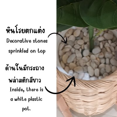 ต้นไทรใบสักปลอมในตะกร้าหวายพร้อมขาตั้งไม้ | Artificial Fiddle Leaf Fig tree
