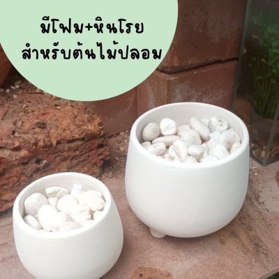 กระถางดินเผาสีขาวนวลทรงนมวัว White ceramic pot cow milk shape