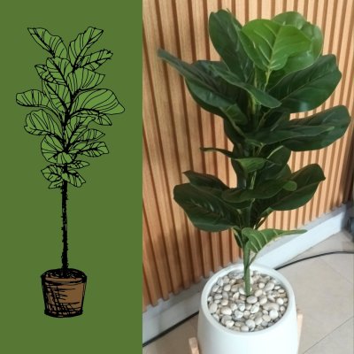ต้นไทรใบสักปลอมขนาดใหญ่เหมือนจริง Artificial / Fake Fiddle Leaf Fig plant
