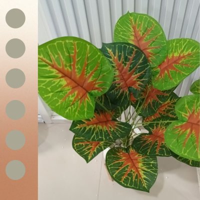 ต้นบอนสีปลอมขนาดใหญ่เหมือนจริง Artificial / Fake Fancy Leaf Caladium Plant