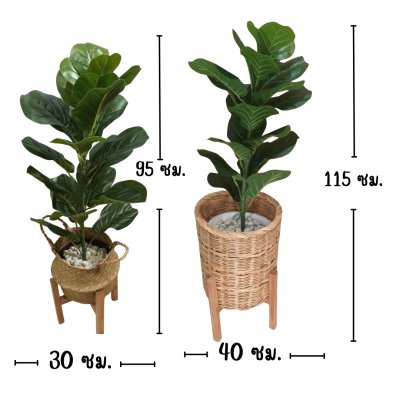 ต้นไทรใบสักปลอมขนาดใหญ่เหมือนจริง Artificial / Fake Fiddle Leaf Fig plant