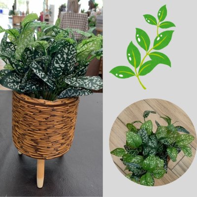 ต้นไม้ปลอมต้นไม้ประดิษฐ์ใบสวยงามเหมือนจริงแต่งบ้านแต่งร้าน Artificial plant, beautiful realistic leaves
