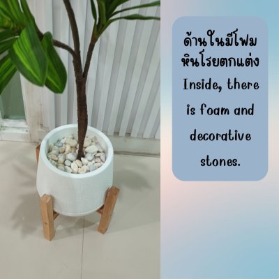 ต้นดราซีน่่าปลอมต้นไม้ประดิษฐ์ Artificial / Fake Dracaena plant