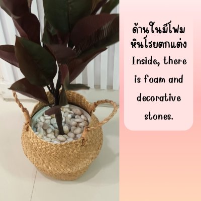 ต้นยางอินเดียปลอมประดิษฐ์ Artificial Rubber Tree