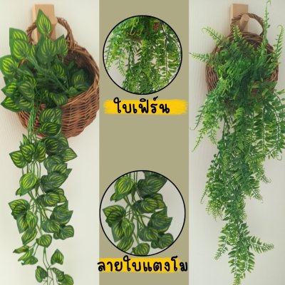 ต้นไม้เลื้อยปลอมประดิษฐ์ในตะกร้าหวายแขวนผนัง Artificial climbing plant in a wicker basket.
