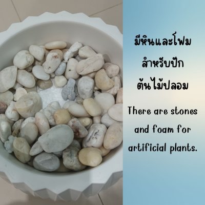 กระถางเบลล่า8นิ้วพร้อมโฟมหิน Bella 8-inch pot.