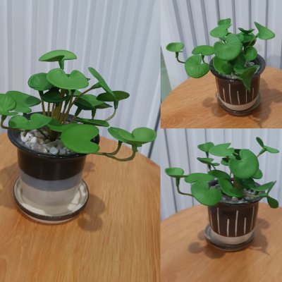 ต้นไม้ปลอมประดิษฐ์ขนาดเล็กในกระถางเซรามิก Small artificial plant in a ceramic pot.